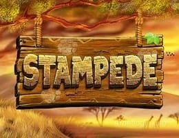 Stampede